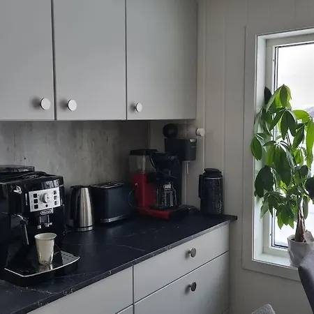 Feriehuset Holmen Appartamento *