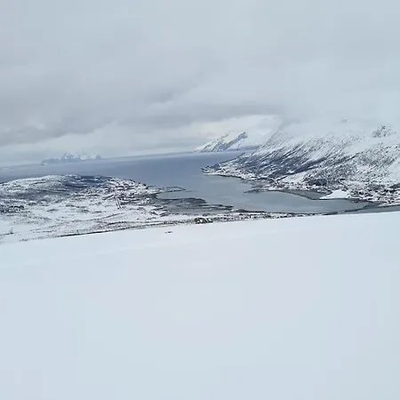 Feriehuset Holmen Apartment *