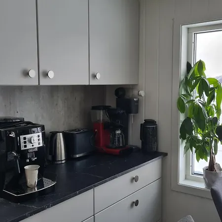 Feriehuset Holmen Апартаменты *